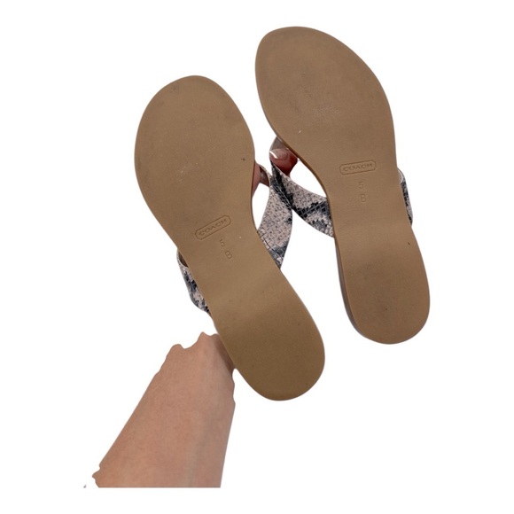 Coach Silver Sandals with Decorative bow Coach Sable Thong Sandals Women’s 5 B - Picture 6 of 11